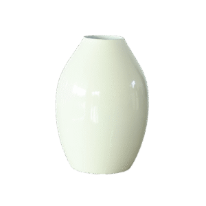 15581 tu blanco frente trans