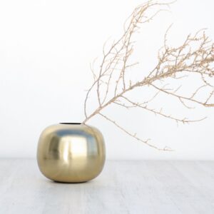 pe11225 s dorado ambiente1