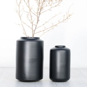 pe11227 s negro ambiente2